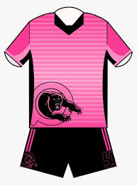 Below is an attempt to unravel the mess while still preserving the club's history. Penrith Panthers Pink Panthers Jersey Penrith Panthers Jerseys Png Image Transparent Png Free Download On Seekpng