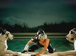 I wanna hold 'em like they do in texas, please fold 'em, let 'em, hit me, raise it, baby, stay with me (i love it) love game intuition play the cards with spades to. Lady Gaga Is Just Gaga About Those 2 Great Danes Dog Blog With Dr Caroline
