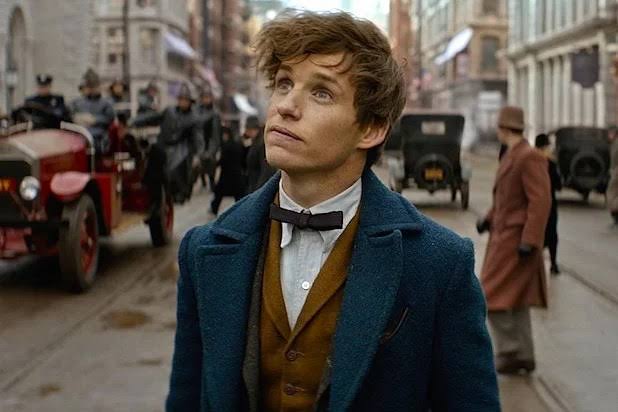 Fantastic Beasts And Where to Find Them' Is a 'Truly Magical Experience'  and 8 Other Enchanted Reviews - TheWrap