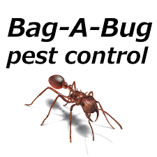 Senior citizen and military discounts referral program and green products. Bag A Bug Pest Control About Facebook