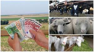 Pe 16 octombrie, agenția de plăți este pregătită să dea primii bani către fermieri după ce ieri, 27 septembrie, guvernul a aprobat și sumele necesare care urmează să ajungă la producătorii agricoli din românia. Lista Cu Toate SubvenÈiile Pe Care Apia Le PlÄteÈte Fermierilor Pe SuprafaÈÄ Pentru Animale Agromediu Zone Defavorizate Èi AgriculturÄ EcologicÄ