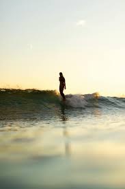 Image result for foto surfínie