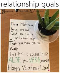 Punny Valentine S Day Valentines Gifts For Him Diy Valentines Gifts Valentines Diy