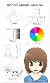 How to draw anime faces. Tips For Learning Anime And Manga Drawing Tips