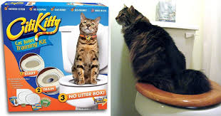 Shows you how to train your cat to use a human toilet. Citikitty Cat Toilet Training Kit From Shark Tank Popsugar Pets