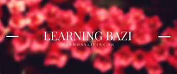 Read Bazi Charts Bazi Reading For Beginners