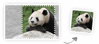 Find over 19 of the best free jpg images. Tinyjpg Compress Jpeg Images Intelligently