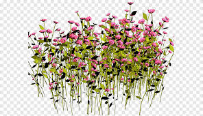 We try to collect largest numbers of png images on the web. Disegno Floreale Fiore Gimp Scape Fiore Fiore Artificiale Tagliare I Fiori Png Pngegg