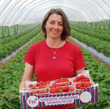 Before downloading you can preview any song by mouse over the play button and click play or click to download button to download hd quality mp3 files. OfertÄ De MuncÄ SezonierÄ In AgriculturÄ In Spania RÄsunetul