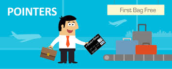 Alaska airlines visa credit card customer service. Alaska Airlines Visa Signature Cardholders Get Free Checked Bag