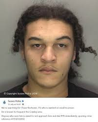 Croydon police plans to go live.