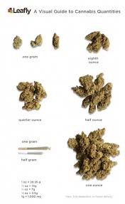 In oregon, washington, and colorado the prices for a quarter are around $46, $48, and $50 respectively. From Grams To Ounces And Pounds Of Weed Measurements Guidancepa