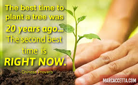 The Best Time To Plant A Tree Was 20 Years Ago The Second Best Time Is Right Now Chinese Proverb Rightnow Chinese Proverbs Quotes To Live By Second Best