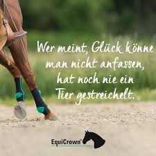 Wer Meint Gluck Konne Man Nicht Anfassen Hat Noch Nie Ein Tier Gestreichelt Equicrown Ihr Partner In Der Komp Pferde Zitate Pferdespruche Zitate Fur Reiter