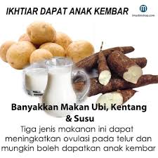 Anak kembar sangatlah unik walaupun terkadang ketika membesarkannya orang tua akan berhadapan dengan beberapa kesulitan dalam memberikan pendidikan kepada anak tersebut. Ikhtiar Dapat Anak Kembar Blog Sihatimerahjambu