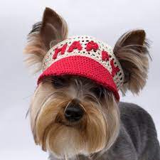 Dog S Cap With Text Baseball Cap For Dog Visor Cap For Etsy Dog Hat Knit Dog Hat Knit Dog