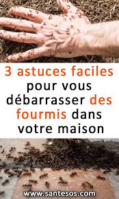 3 Astuces Faciles Pour Vous Debarrasser Des Fourmis Dans Votre Maison Fourmis Fourmis Maison Trucs Et Astuces Maison