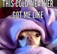 25 Cute Cold Weather Quotes Cold Weather Memes Weather Quotes Cold Weather Quotes