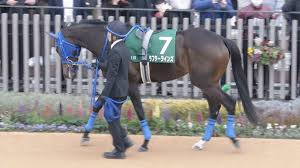 News source: JRA日本中央競馬会