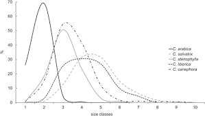 Image result for Coffea salvatrix