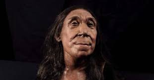 Cod bones reveal 13th-century origin of London's global fish trade