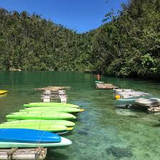 Image result for Selago barabei