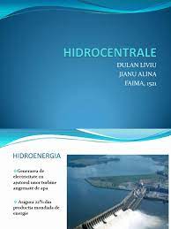 Blocarea cursurilor raurilor avando influenta major asupra florei si faunei, costuri ( tehnologia performanta a hidrocentralelor vine cu un pret foarte mare ), dependenta lor de debitul raului/fluviului, aplasarea lor. Hidrocentrale