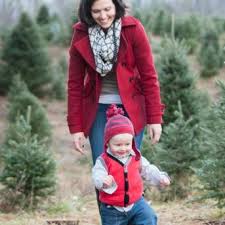 Click here to access the massachusetts dept. Choose Cut Christmas Trees Boone Nc Holidays