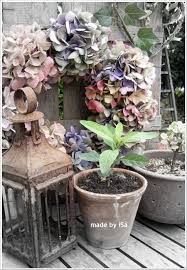 Epingle Sur Hydrangea