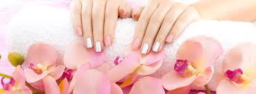 Those interested in art and history will be thrilled to discover brookgreen. Luxury Nails Spa Nail Salon 29588 Nail Salon Myrtle Beach Sc 29588