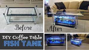 Pin On Aquariums And Fish