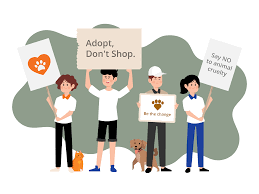 Some adopt due to infertility, some to help a specific child and others for social justice. Best Places To Volunteer In Malaysia With Animals Sols 24 7