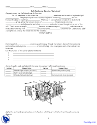 Worksheet Cell Membrane And Tonicity Worksheet Cell Membrane And Tonicity Worksheet Answers Abi Cell Membrane Coloring Worksheet Cell Membrane Color Worksheets