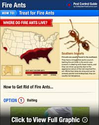 The company offers quarterly pest control, termite control, mosquito service, and landscaping services. How To Get Rid Of Kill Fire Ants Fire Ant Treatment Guide