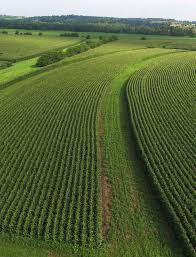 C m of the Cr p C m of the Cr p