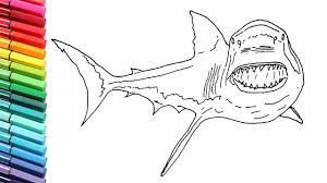 Select from 35970 printable crafts of cartoons, nature, animals, bible and many more. How To Draw The Great White Shark Sea Monster Shark Color Pages For Children Youtube