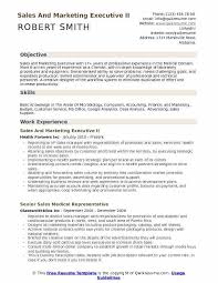 Assistant sales manager/sales lead resume. Sales Manager Resume Format Free Download Executive Director Template Hudsonradc