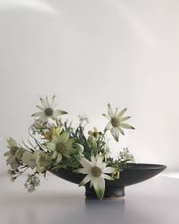 pin on flowerstagram