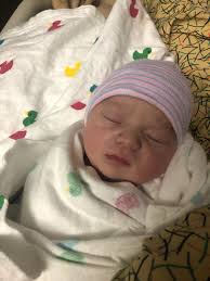 Just thinking about all the shenanigans we could get In to... a bottle, a  nap... we get crazy these Saturdays haha