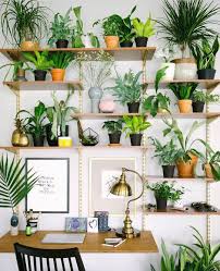 Desk Goals Houseplants Indoor Garden Apartment Room With Plants Decor