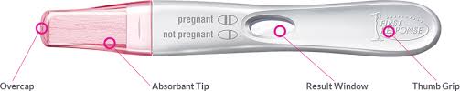 This test detects the pregnancy hormone in your urine. Ovulation Test Plus Pregnancy Test First Response