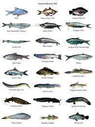 Fish Banglapedia