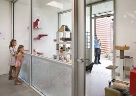 Pima Animal Care Center Animal Shelter Animal Arts Animal Shelter Animal Shelter Design Shelter Design