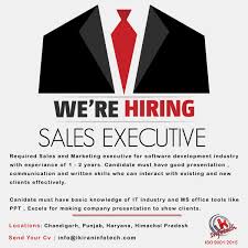 Executive Business Development It Software Sales Marketing Process Sales And Marketing Web Marketing
