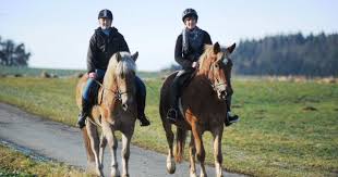 Reiturlaub Im Romantik Hotel Freund Spa Resort Leadingsparesorts Leadingspa Wellness Spa Beauty Pferde N Reiturlaub Wellness Hotel Hessen Das Hotel