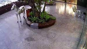 Dhivehi kudhin, reethi dhivehi bitun. Zahid Rameez Pa Twitter Mi 26th December 2018 Ga Bridge Viewing Platform Ge Play Area Ga Kuda Kudhin Kulhen Bahattaafa Huri 2 Statue Ah Kathi Valhin Gellun Dhey Video Eh Aharen Mikamuga