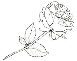 1001 Modeles Et Conseils Pour Apprendre Comment Dessiner Une Rose Comment Dessiner Une Rose Dessin Rose Comment Dessiner