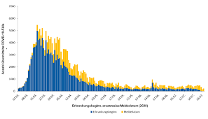 Die nachfolgende tabelle zeigt einen vereinfachten überblick der fallzahlen pro land. Https Www Rki De De Content Infaz N Neuartiges Coronavirus Situationsberichte 2020 07 28 De Pdf Blob Publicationfile