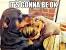 Dog Comforting Human