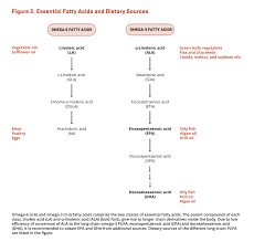 Image result for Fatty Acid